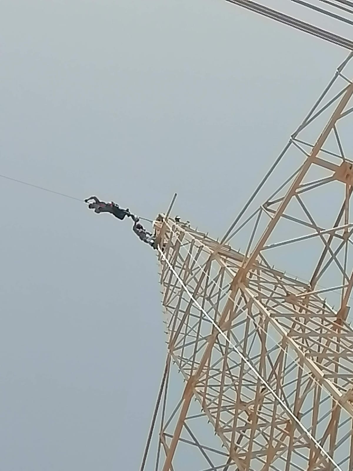 TOWER LINE TRANSMISSIONS